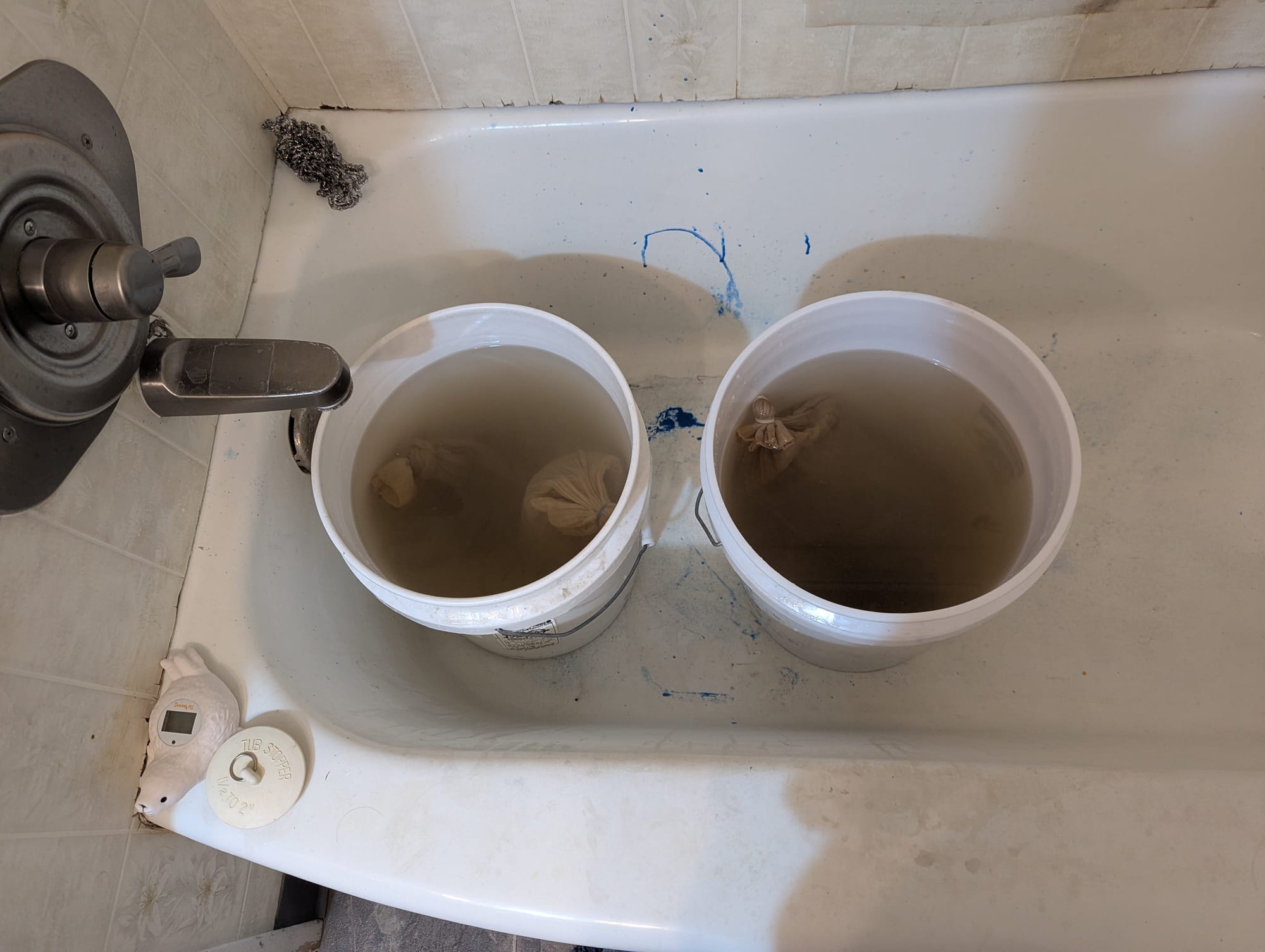 Two five gallon buckets of water containing cheesecloth bags of acorn bits. The water is darkening from the tannins coming out of the acorns