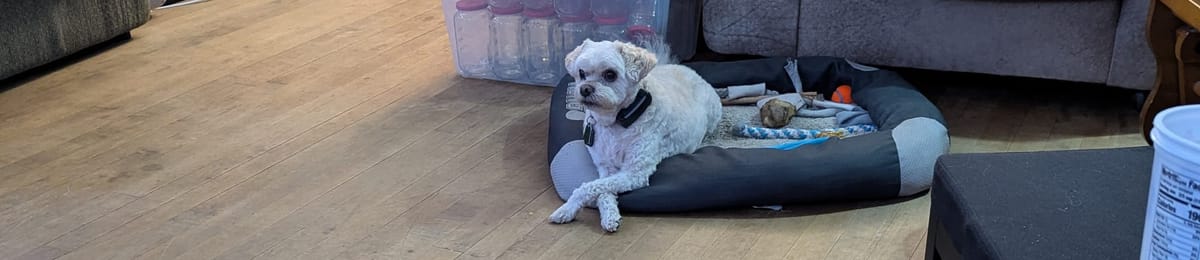 We have an acorn winner! Plus announcements...