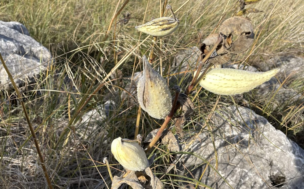 Pods and Preparation