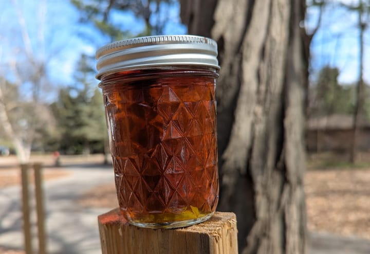 A mason jar with a quilted pattern in the glass containing clear amber maple syrup. In the background is the trunk of a large sugar maple tree