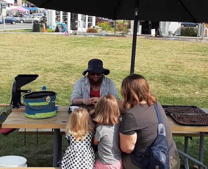 A group of people sitting around a picnic table sorting acorns