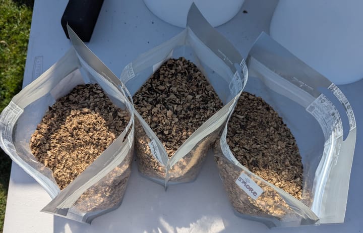 Three bags of crushed acorns waiting to be sifted